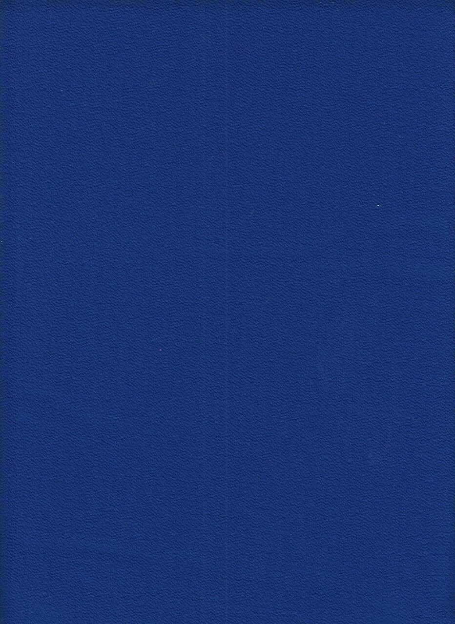 1 Yard Solid Ghost Bubble Crepe Fabric, Lightweight Textured Stretch 57/58" Wide for Apparel